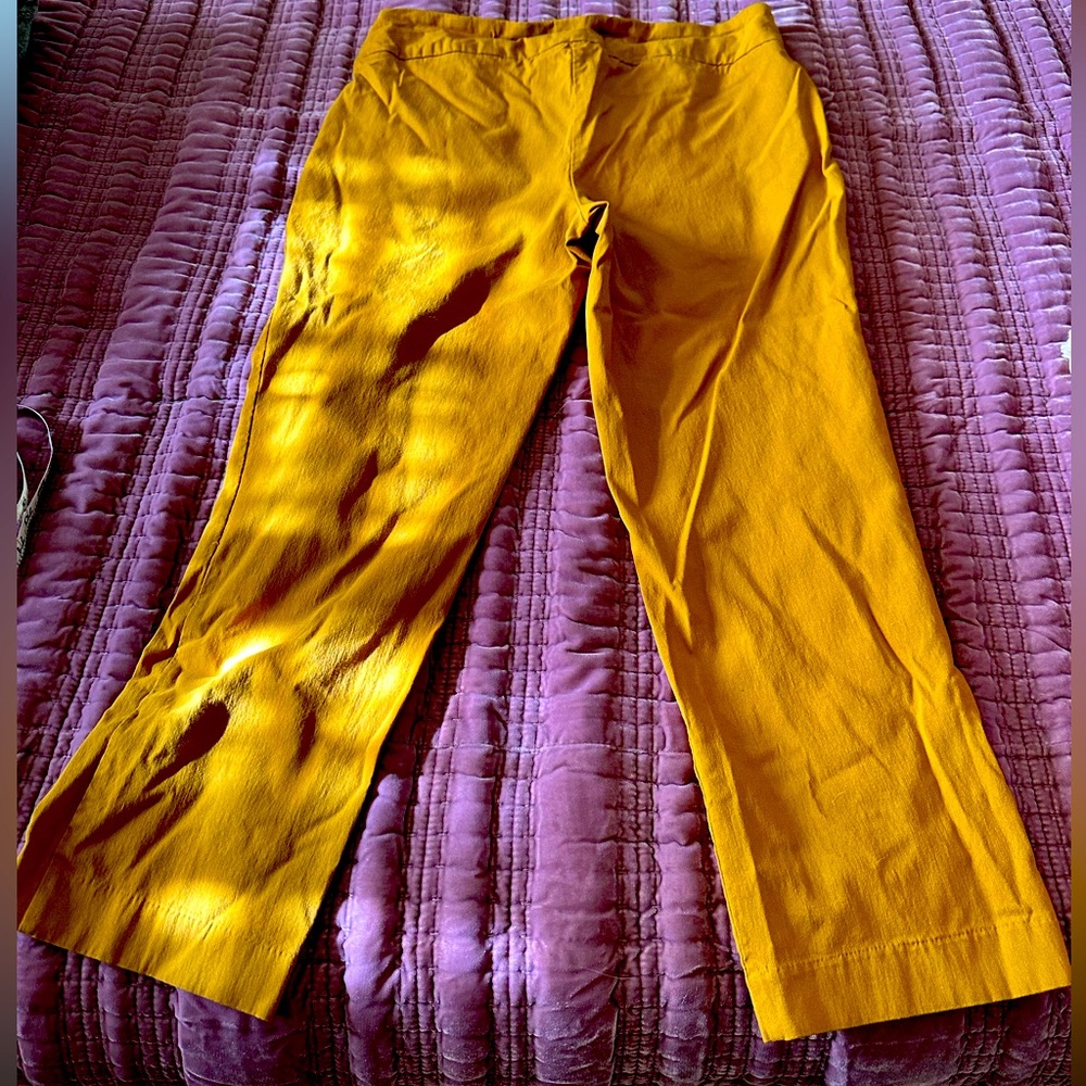 Carolina Belle Gold Pull On Trousers - crop size 14